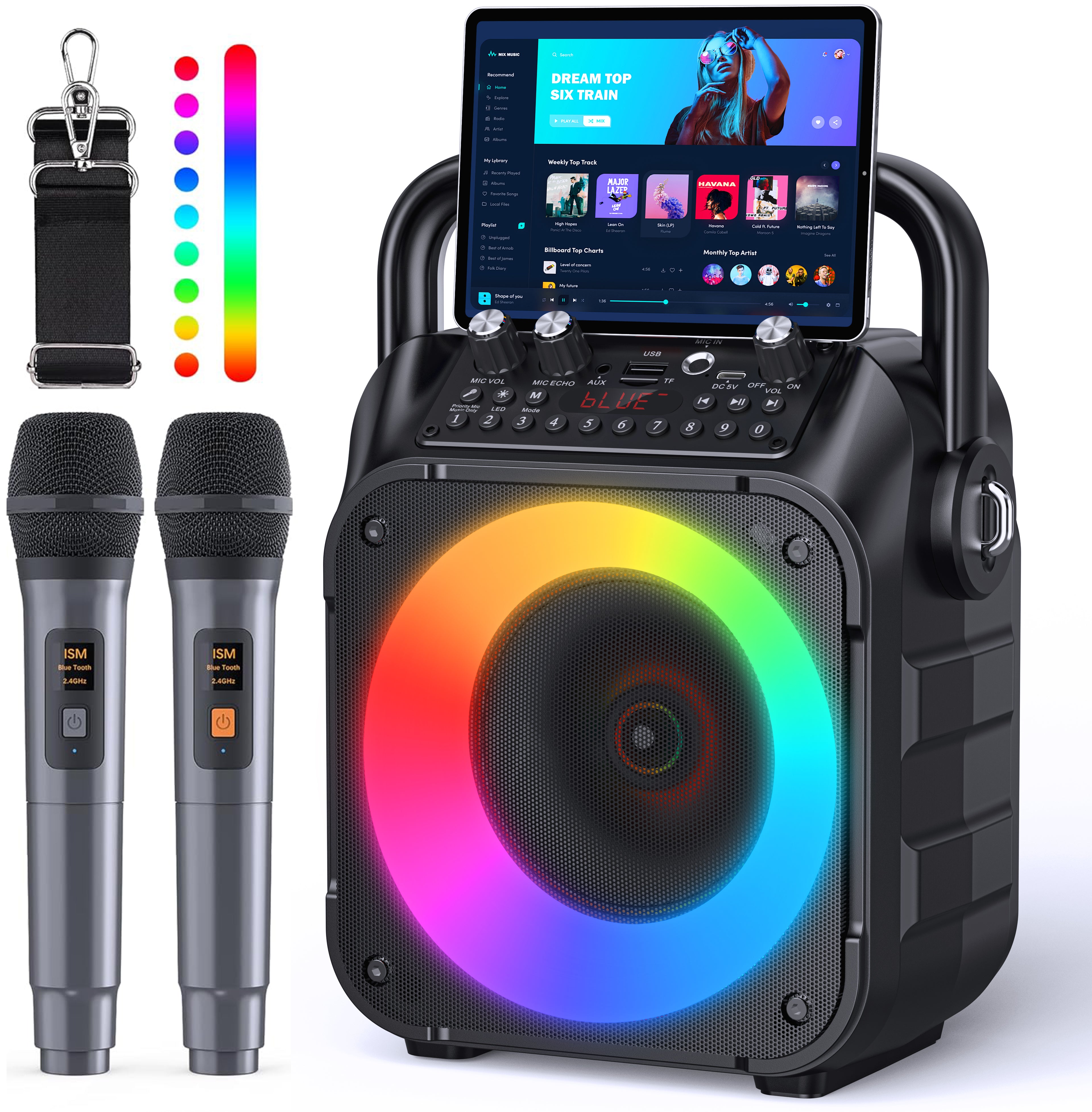 CYY Karaoke Machine, Portable Bluetooth Speaker with 2 Wireless Microphones for Adults & Kids with Lights, Karaoke Microphone with PA System Supports USB/TF/FM/AUX for Home Party Home System Packages